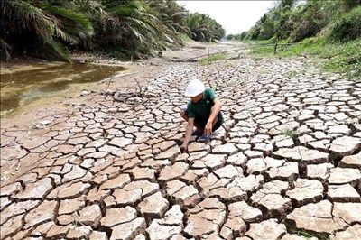 Biến Đổi Khí Hậu: Hiểu Để Bảo Vệ Hành Tinh Xanh