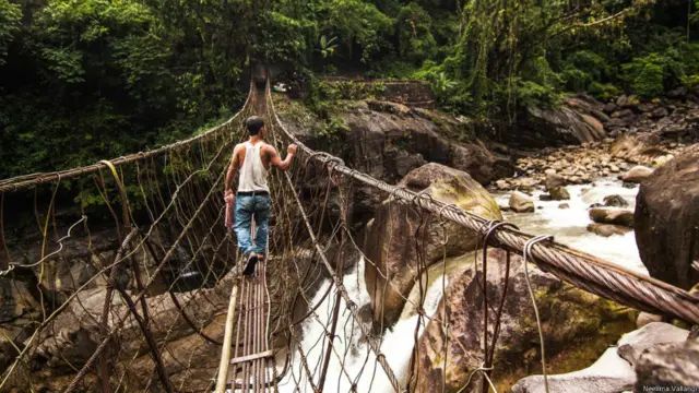 Cầu rễ cây độc đáo ở Cherrapunji