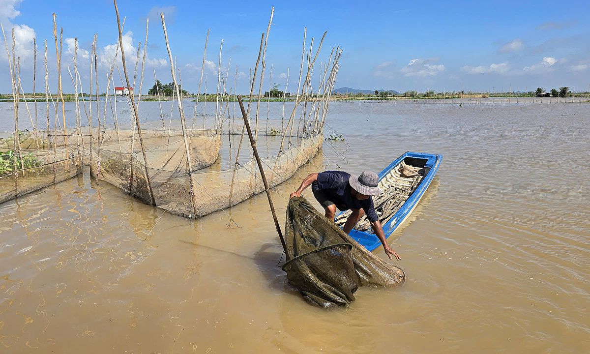 Nước dâng cao vào mùa lũ ở Bến Tre